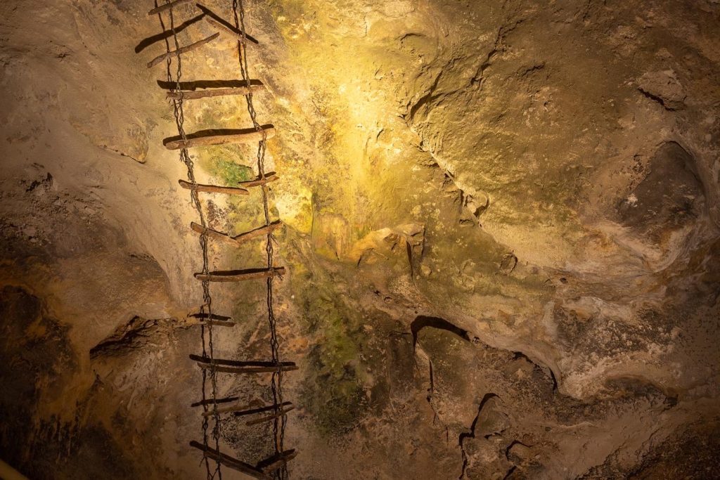 A ladder once used to explore the caves of Carlsbad National Park.