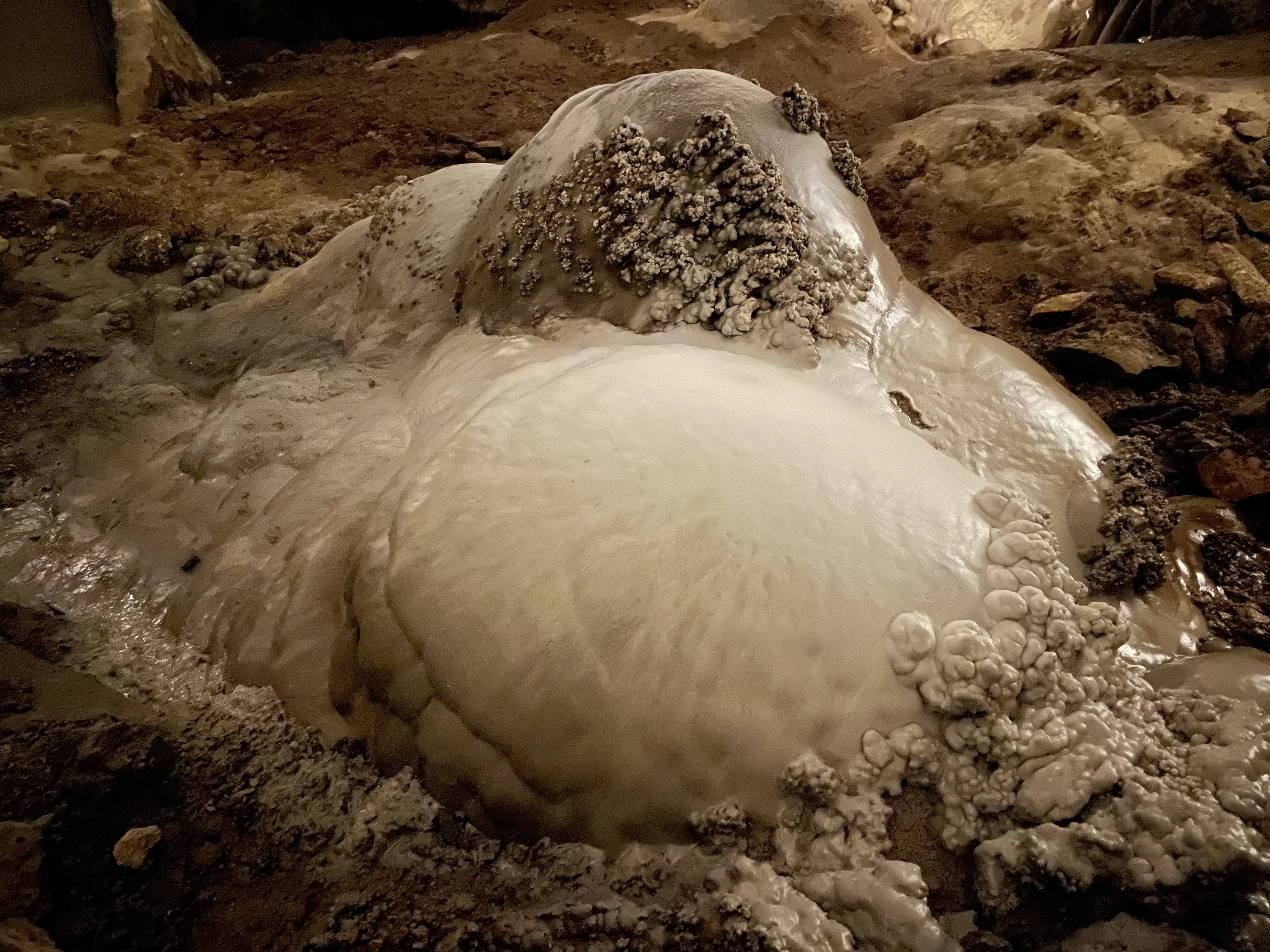 Large calcite formation in Carlsbad Caverns National Park.