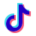 TikTok Icon