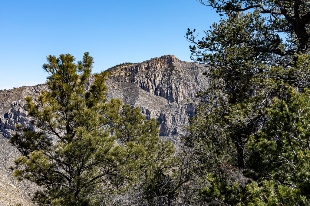 A glimpse of a Guadalupe National Park Mountain through the trees.